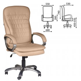 Кресло офисное BRABIX Omega EX-589 в Ижевске - izhevsk.katalogmebeli.com | фото